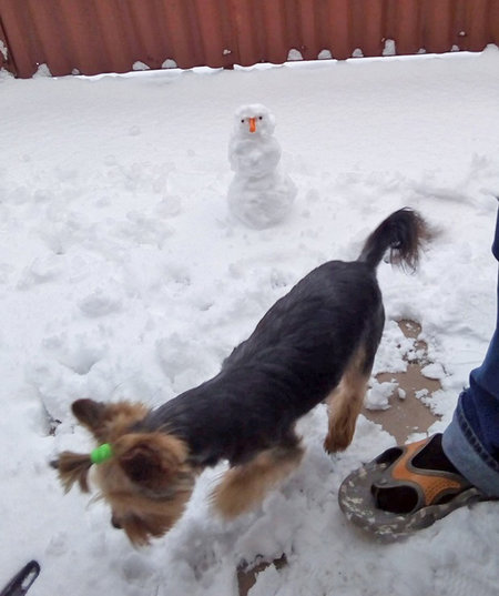 Ulepiłem z panem Bałwana, fot. Renata Puchalska .