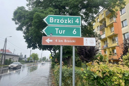fot. Twórcze Brzózki