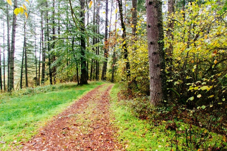 fot. freepik