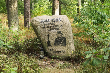 fot. Nadleśnictwo Szubin, Lasy Państwowe