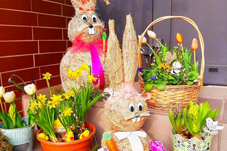 fot. Justyna Kociołek